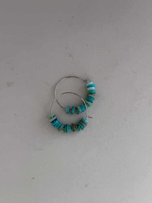 Earrings-hoops