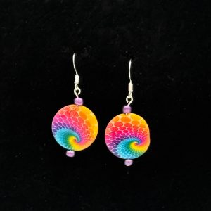 Earrings-rainbow discs