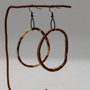 Earrings-horn
