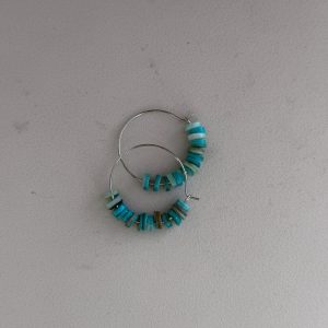 Earrings-hoops